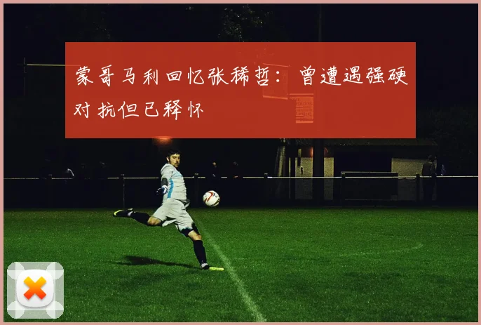 蒙哥马利回忆张稀哲：曾遭遇强硬对抗但已释怀