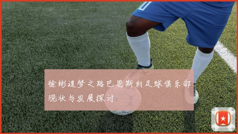 徐彬追梦之路巴恩斯利足球俱乐部现状与发展探讨